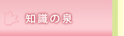 知識の泉