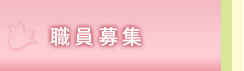 職員募集